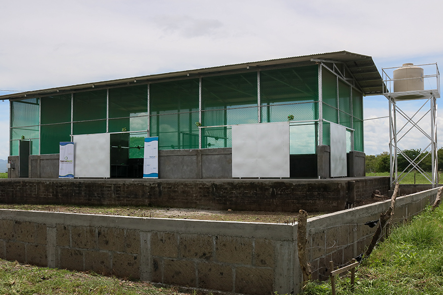 Walmart Centroamérica construye centro de acopio para pequeños productores de Sébaco, Matagalpa