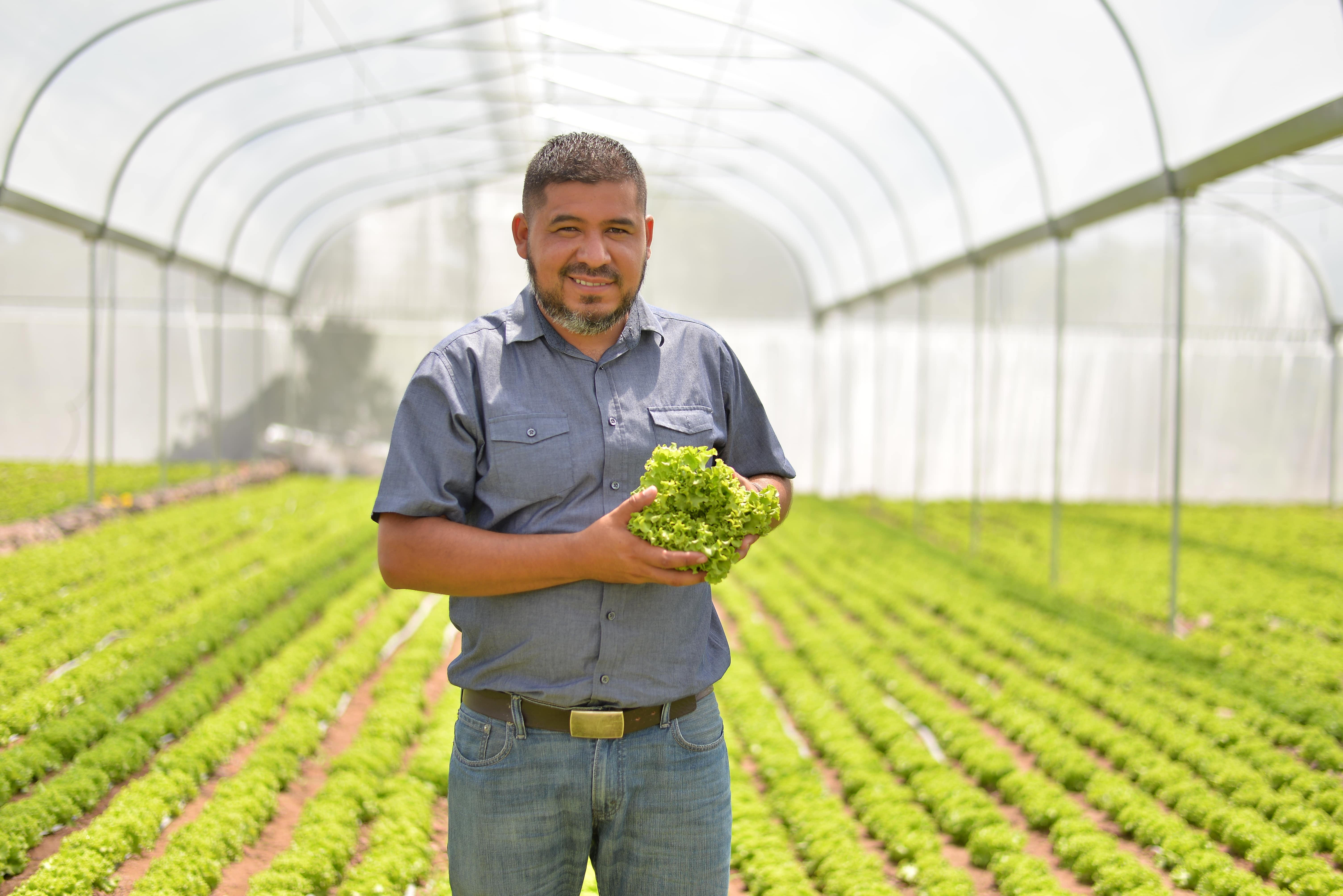 Productor nicaragüense de lechuga gana proyecto regional de inversión agropecuaria de Walmart Centroamérica