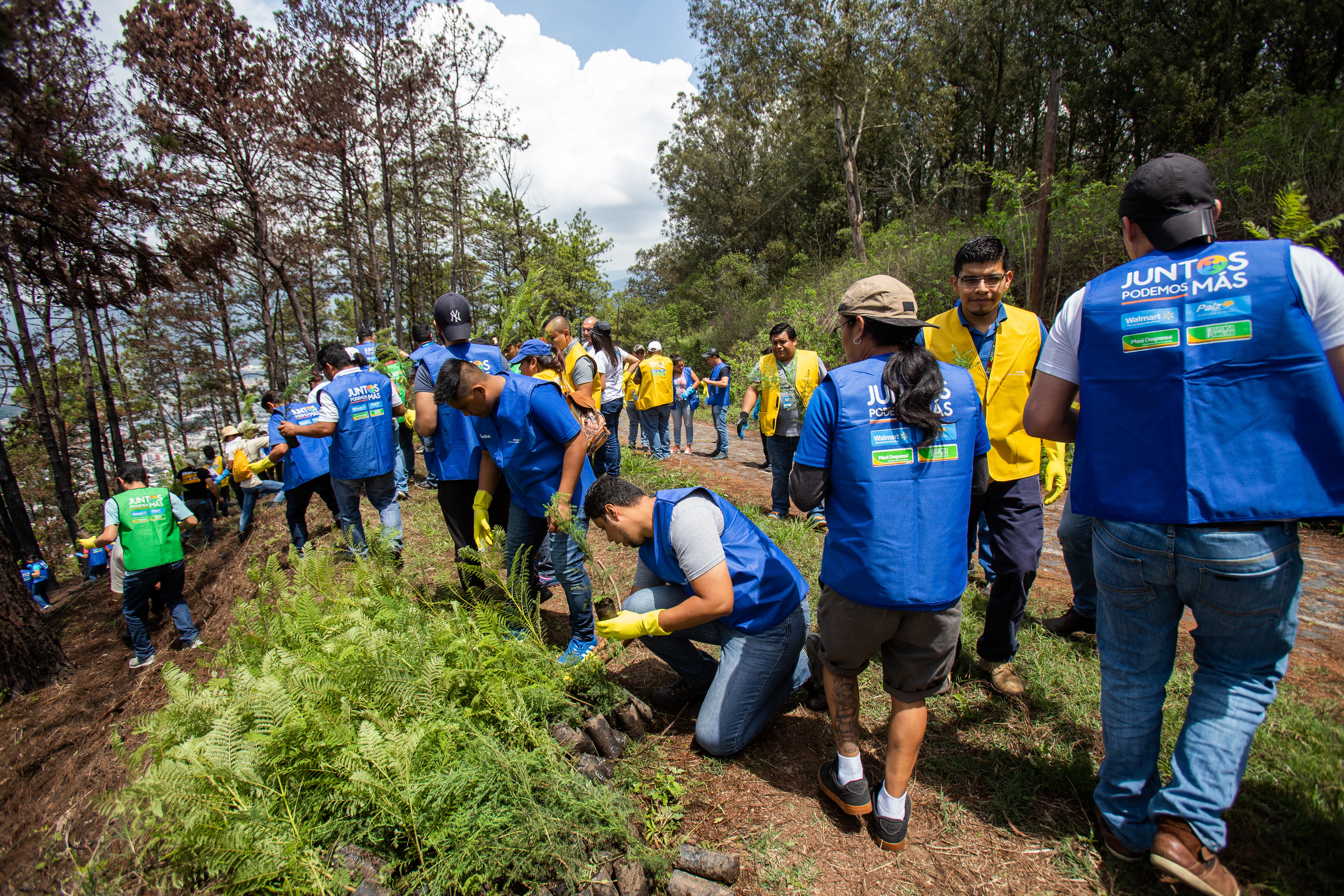 Walmart reduce la huella ambiental con iniciativas sostenibles