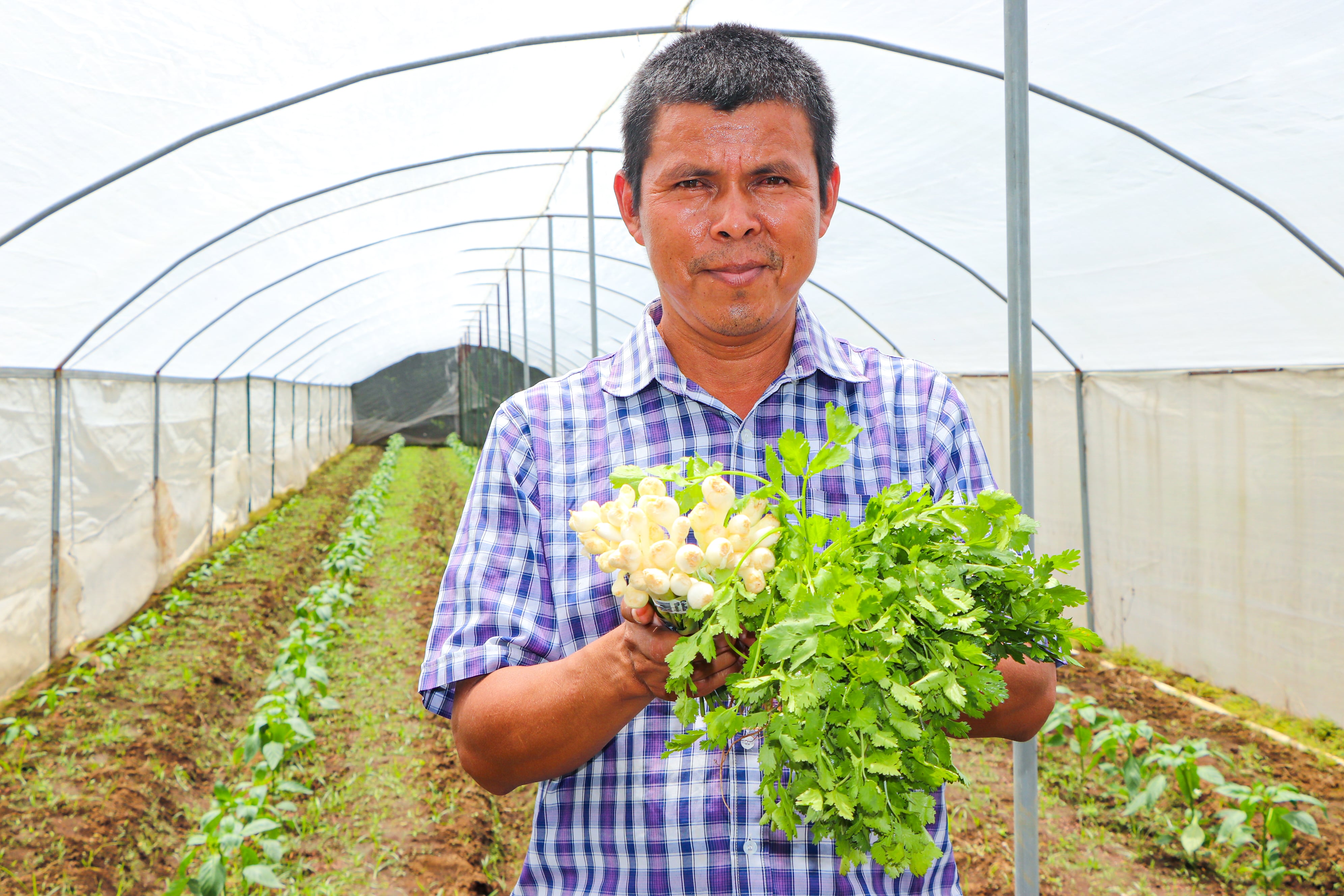 Tadeo Hernández, agricultor salvadoreño que provee hortalizas desde hace 11 años a las tiendas de Walmart
